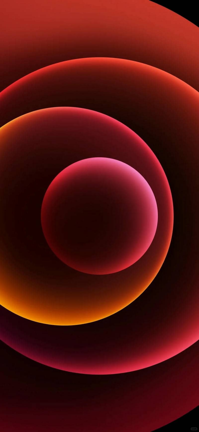 ảnh 12 pro max