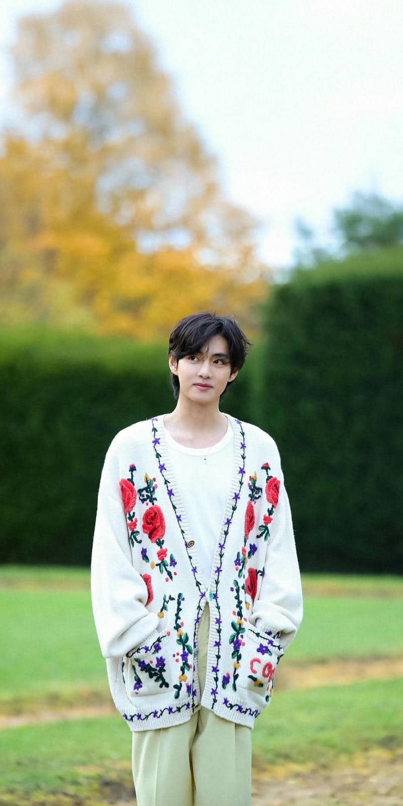 ảnh bts v