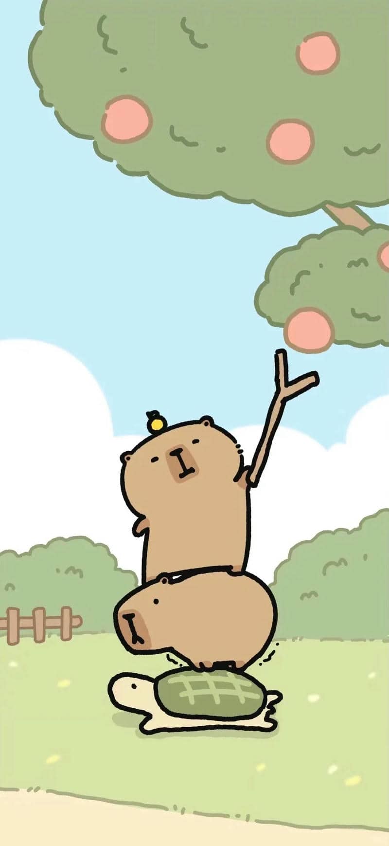 ảnh capybara làm hình nền điện thoại