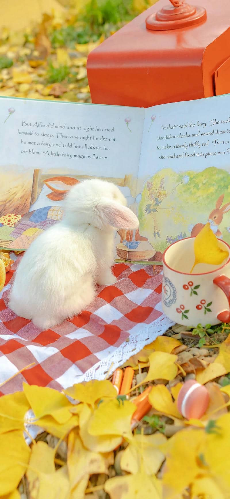 ảnh hình nền điện thoại con thỏ cute