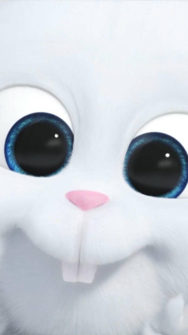 ảnh hình nền điện thoại snowball cute