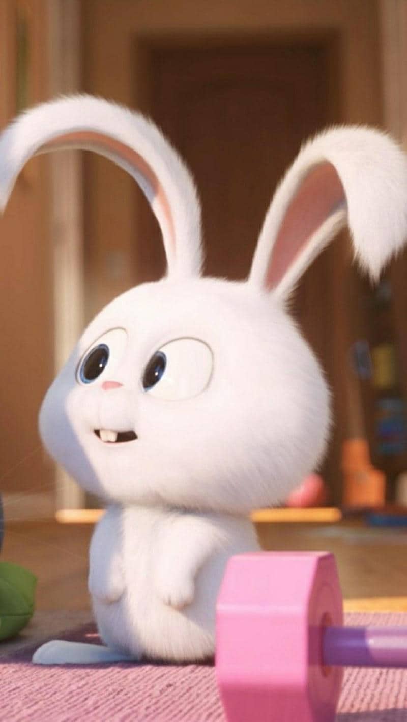 ảnh hình nền điện thoại snowball