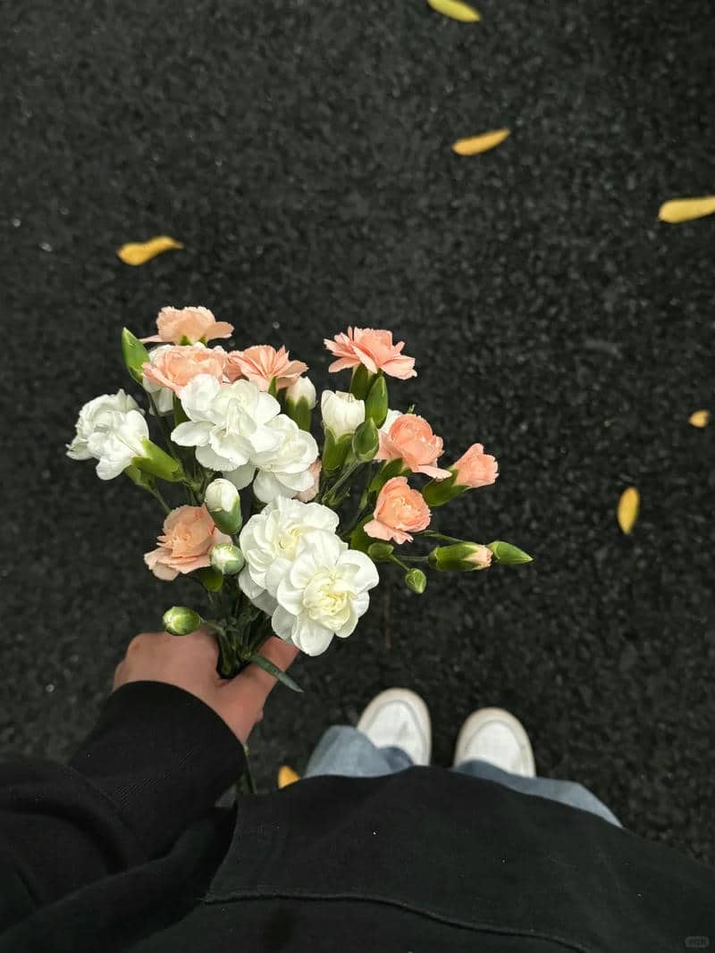 ảnh hình nền hoa nhài nhẹ nhàng
