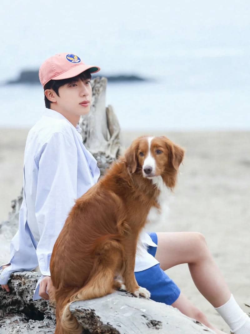 ảnh hình nền jin bts