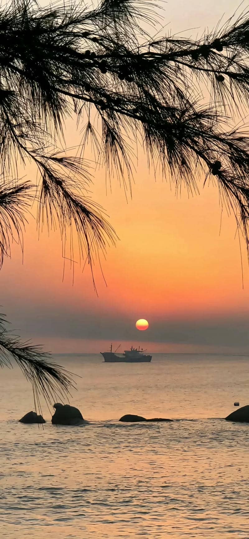 ảnh hoàng hôn chill