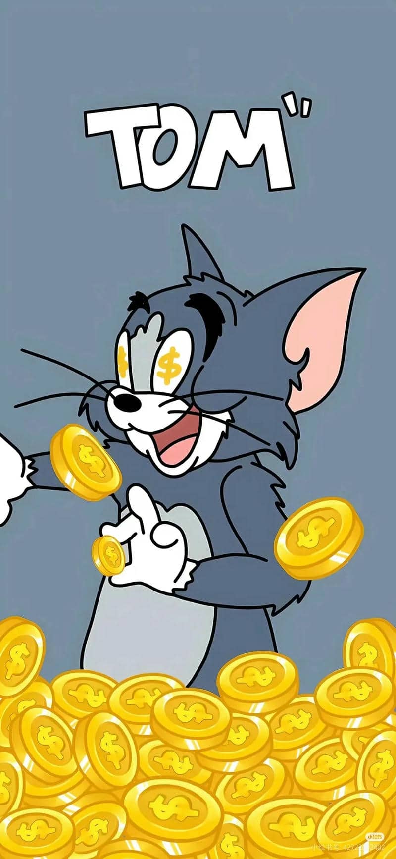 ảnh mèo tom