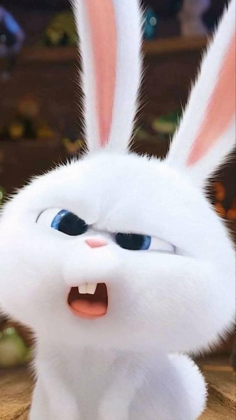 ảnh nền meme snowball cute