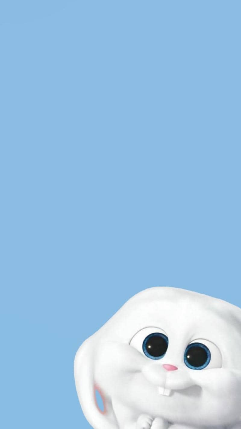 ảnh nền thỏ snowball cute