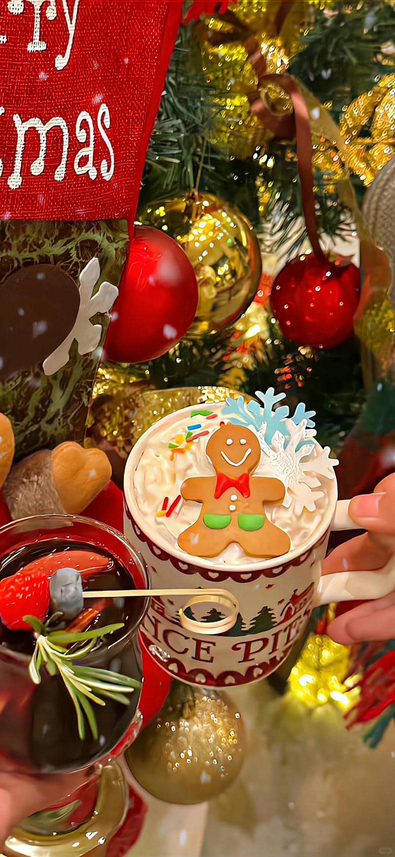 ảnh noel 2024