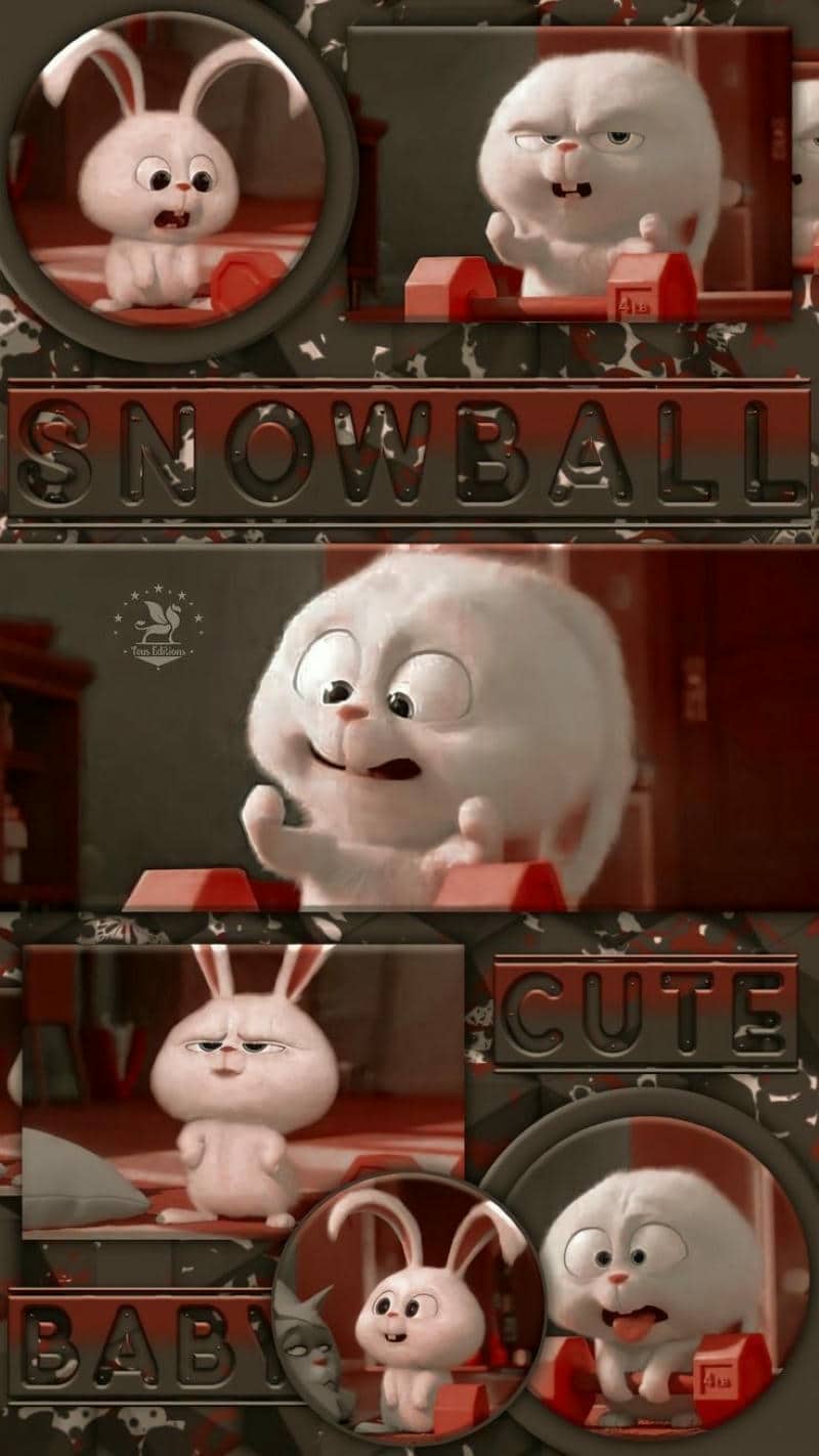 ảnh snowball cute