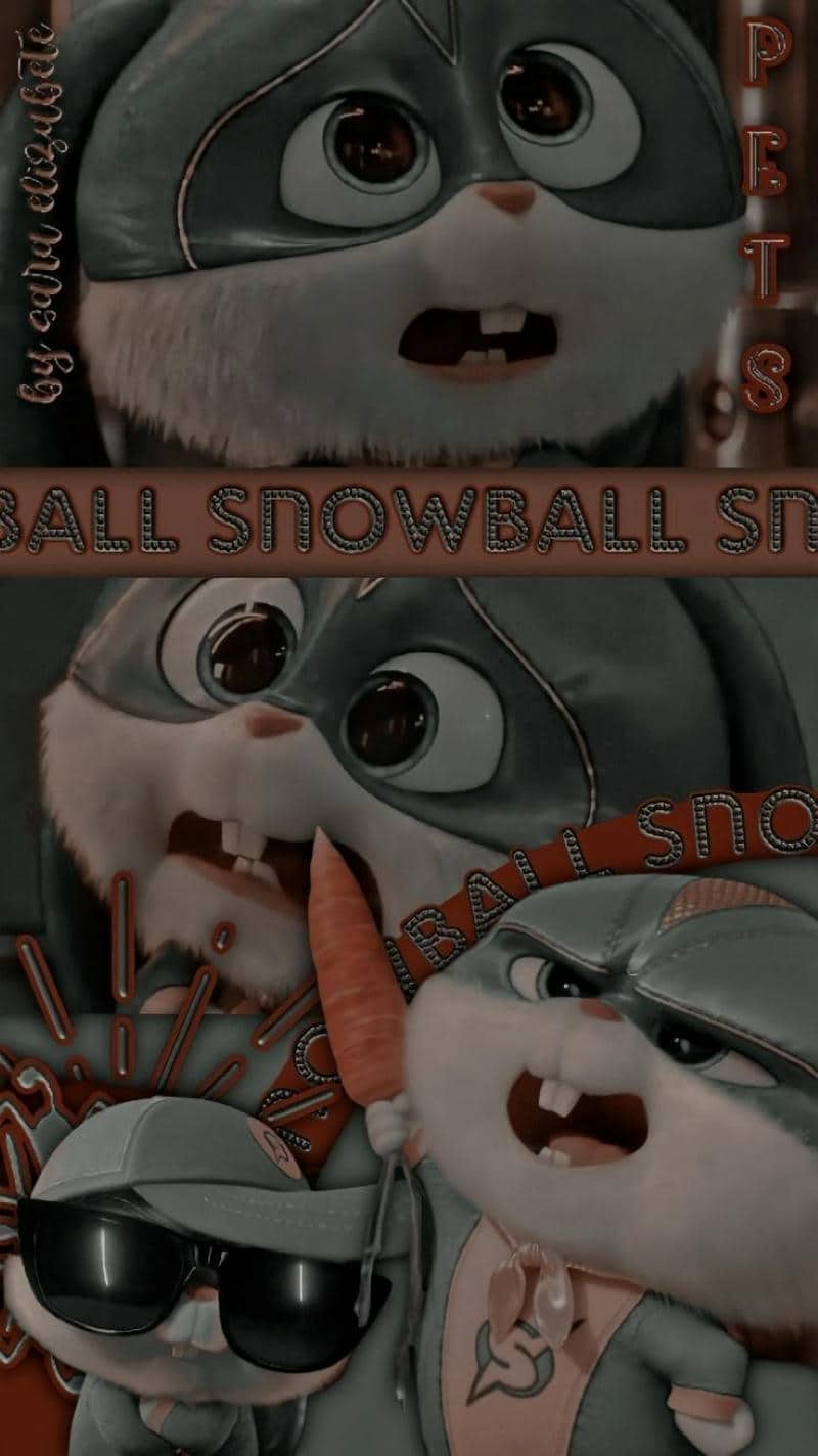 ảnh snowball đáng yêu