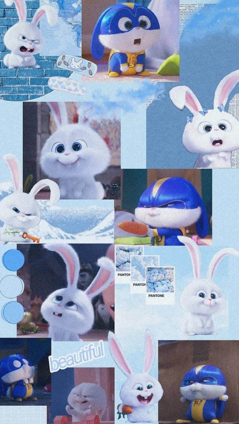 ảnh snowball