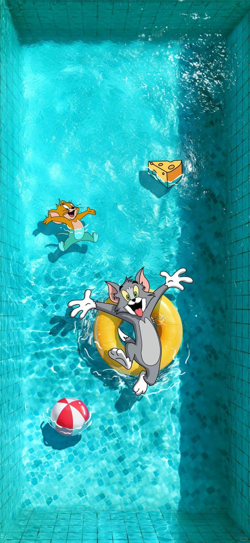 ảnh tom và jerry