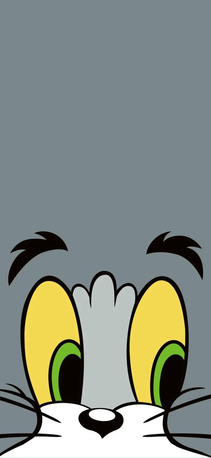 ảnh tom
