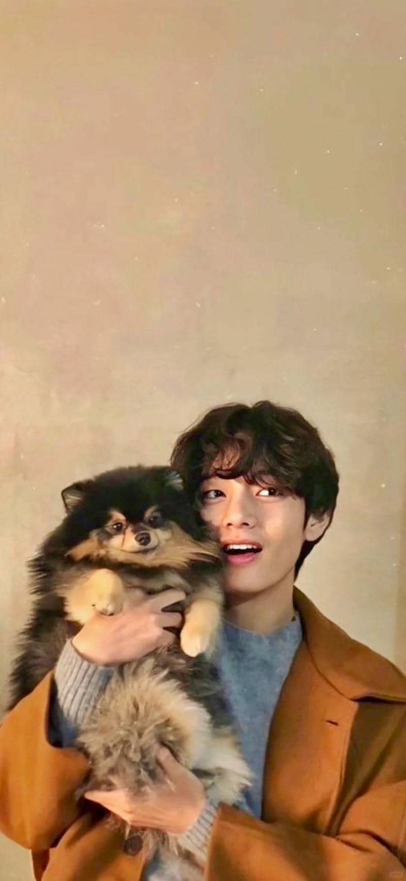 ảnh v bts cute