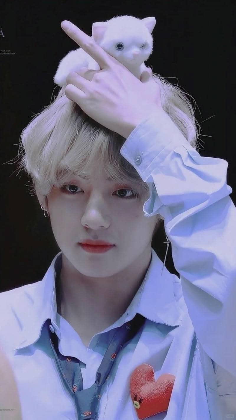ảnh v cute