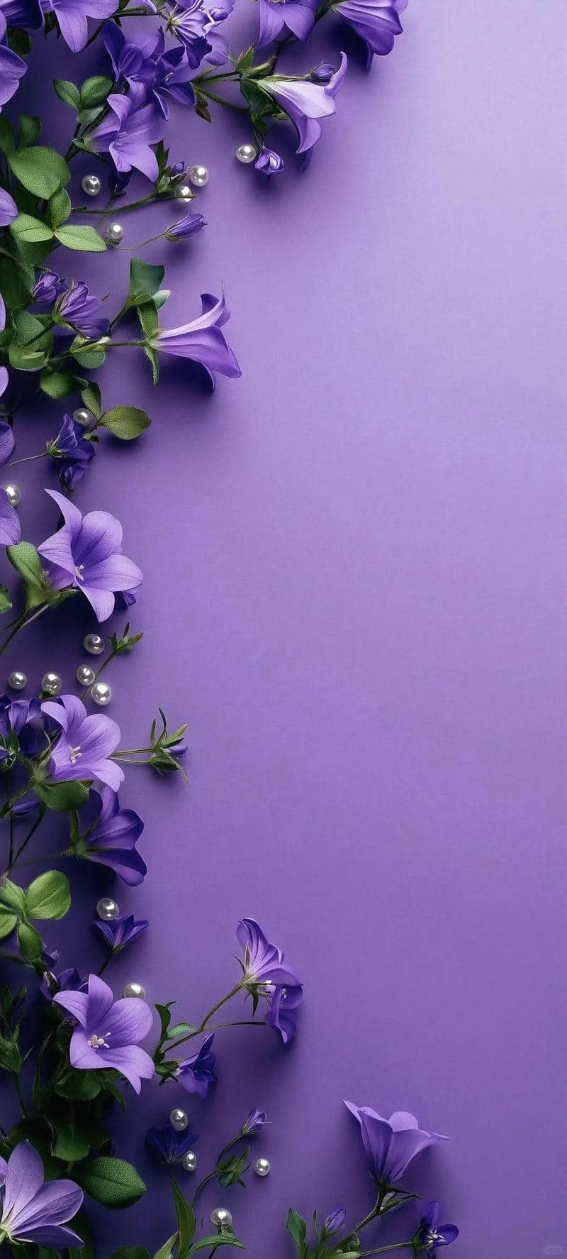 background tim