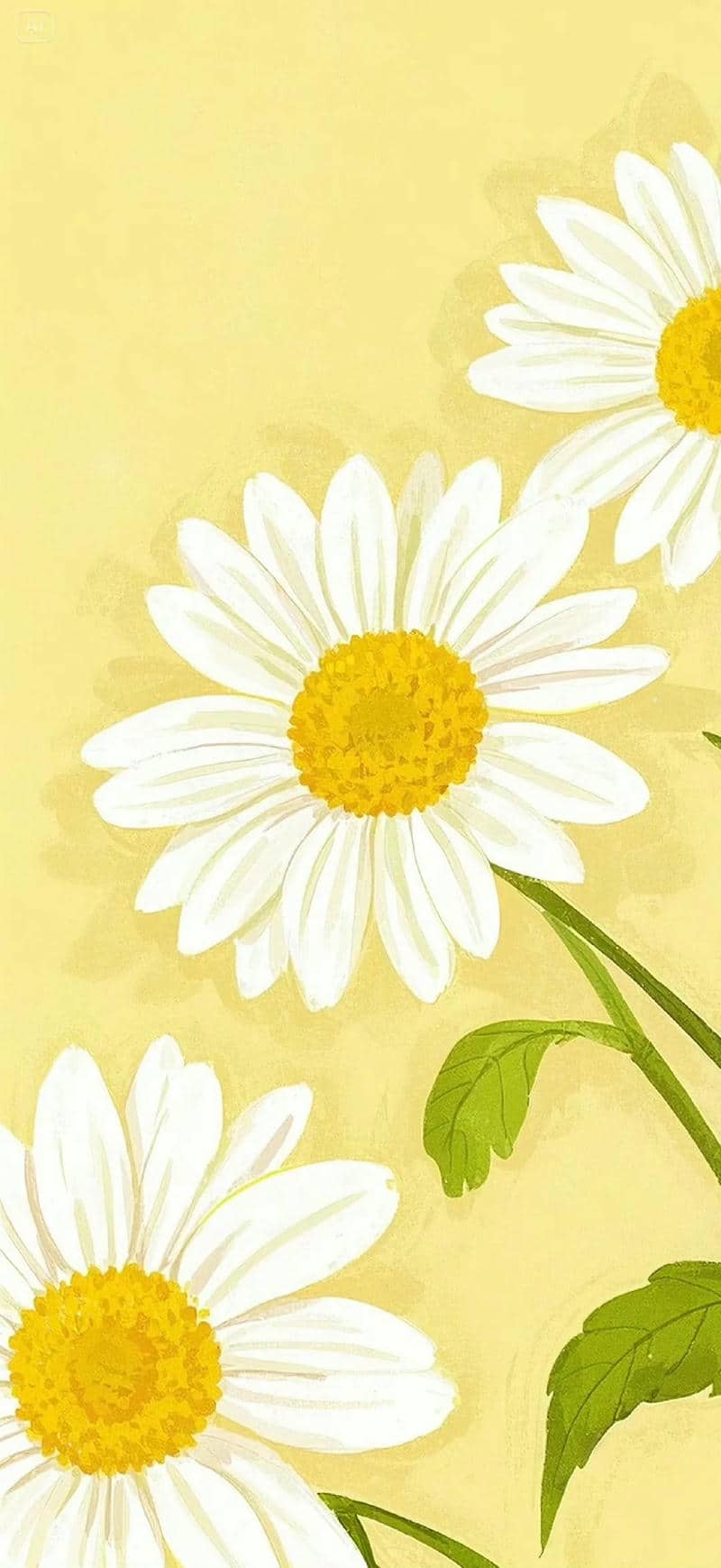 background vang