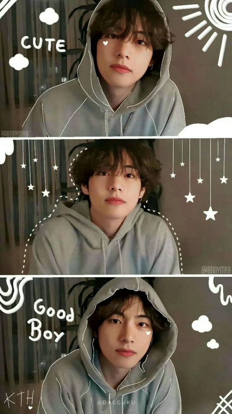 bts v