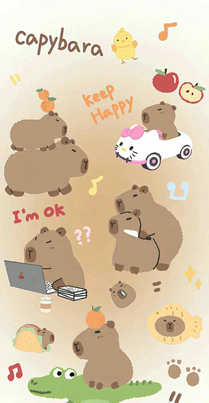 capybara hình nền đt vô tri