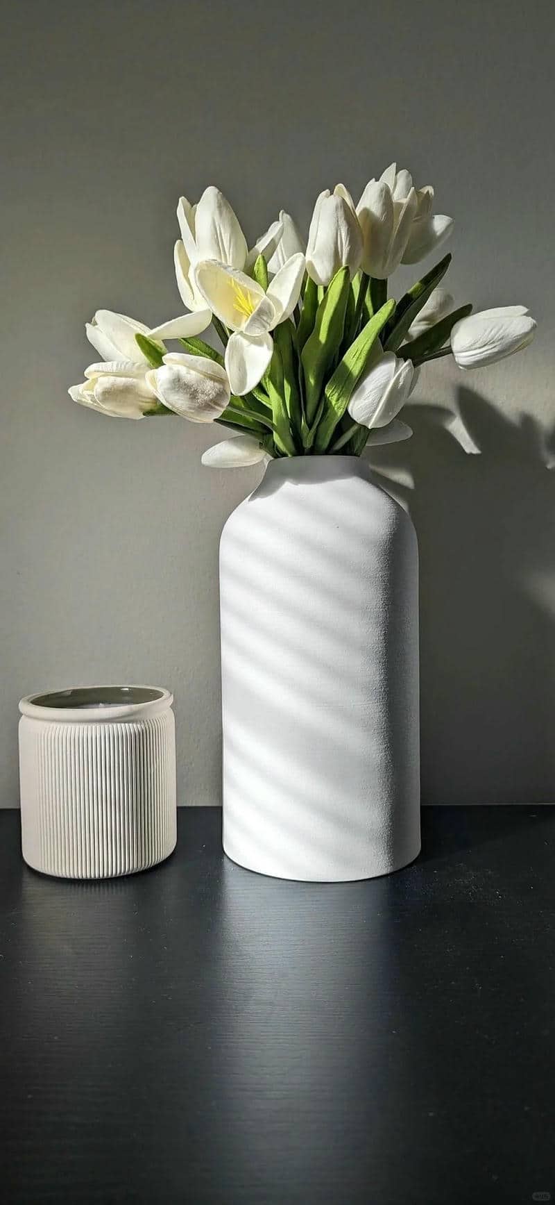 hình ảnh đẹp hoa tulip