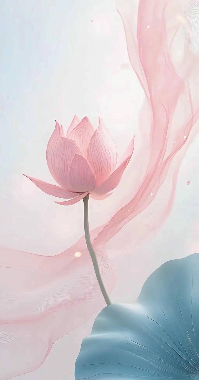 hình ảnh hoa sen đẹp tuyệt trần