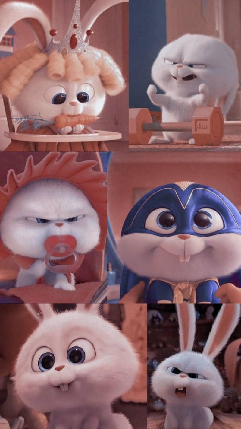 hình ảnh snowball cute