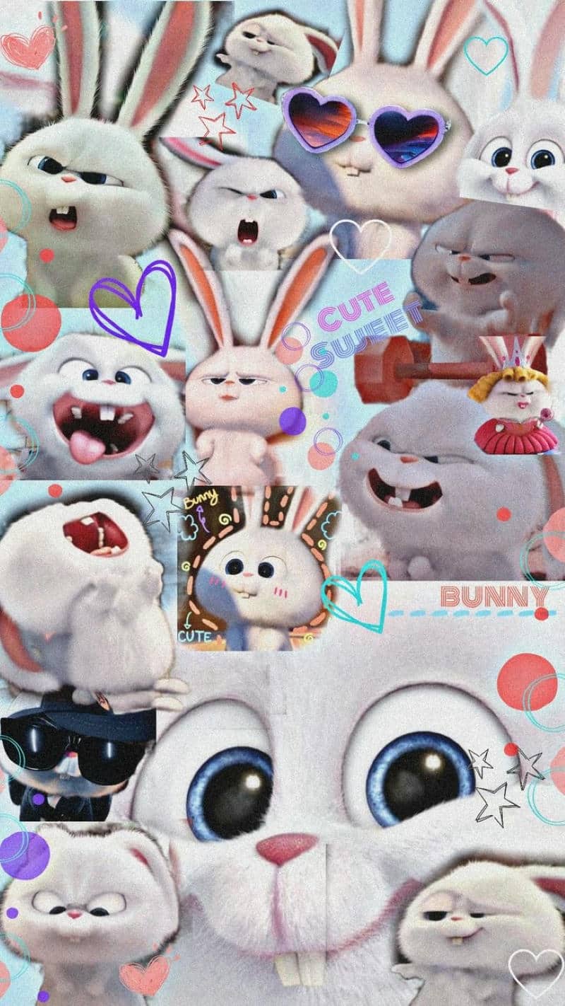 hình ảnh snowball