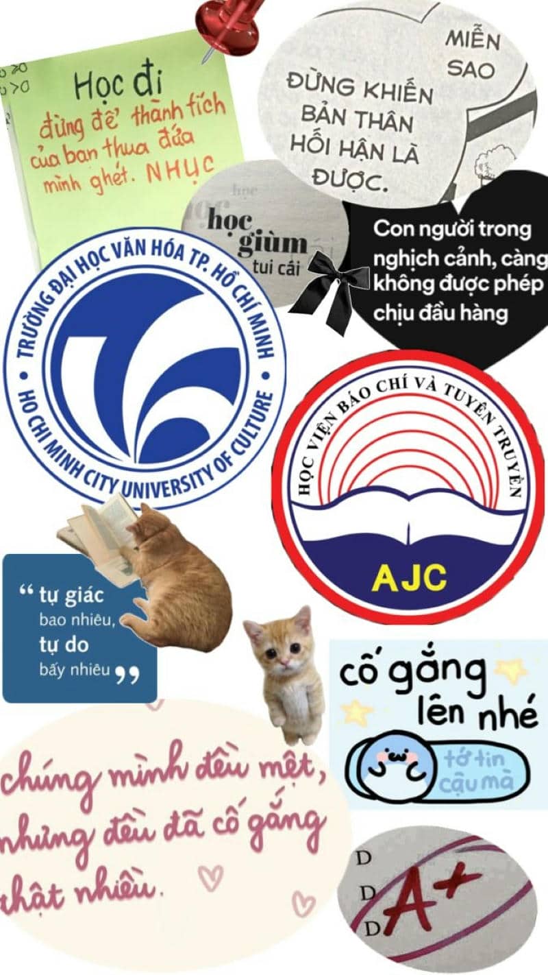 hình ảnh về học tập