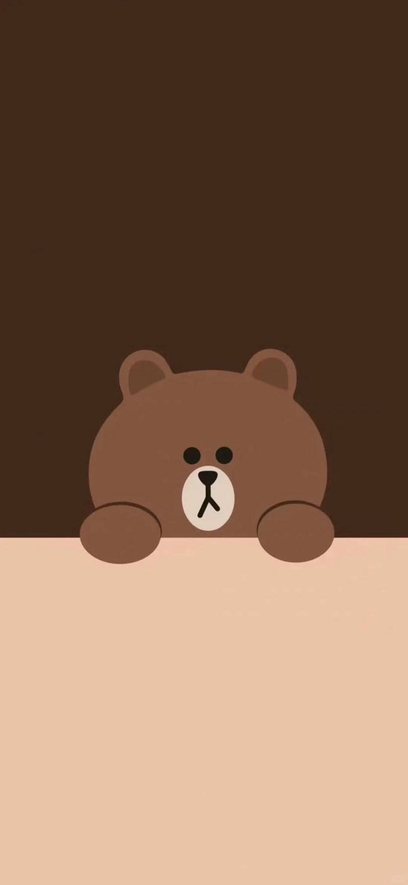 hình gấu nâu cute