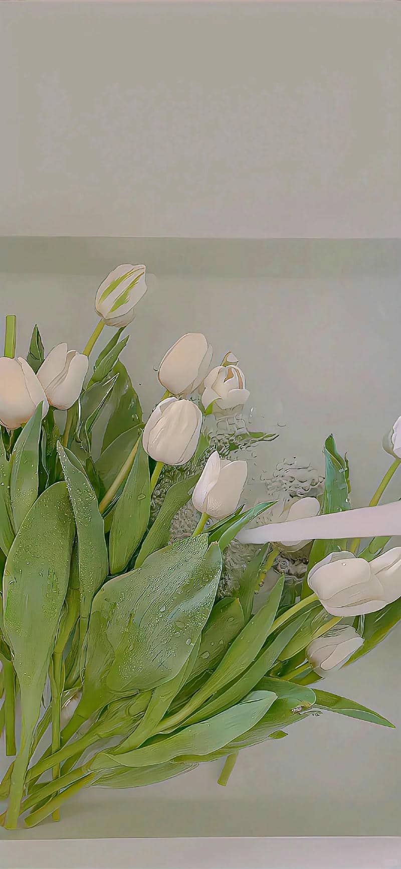 hình hoa tulip
