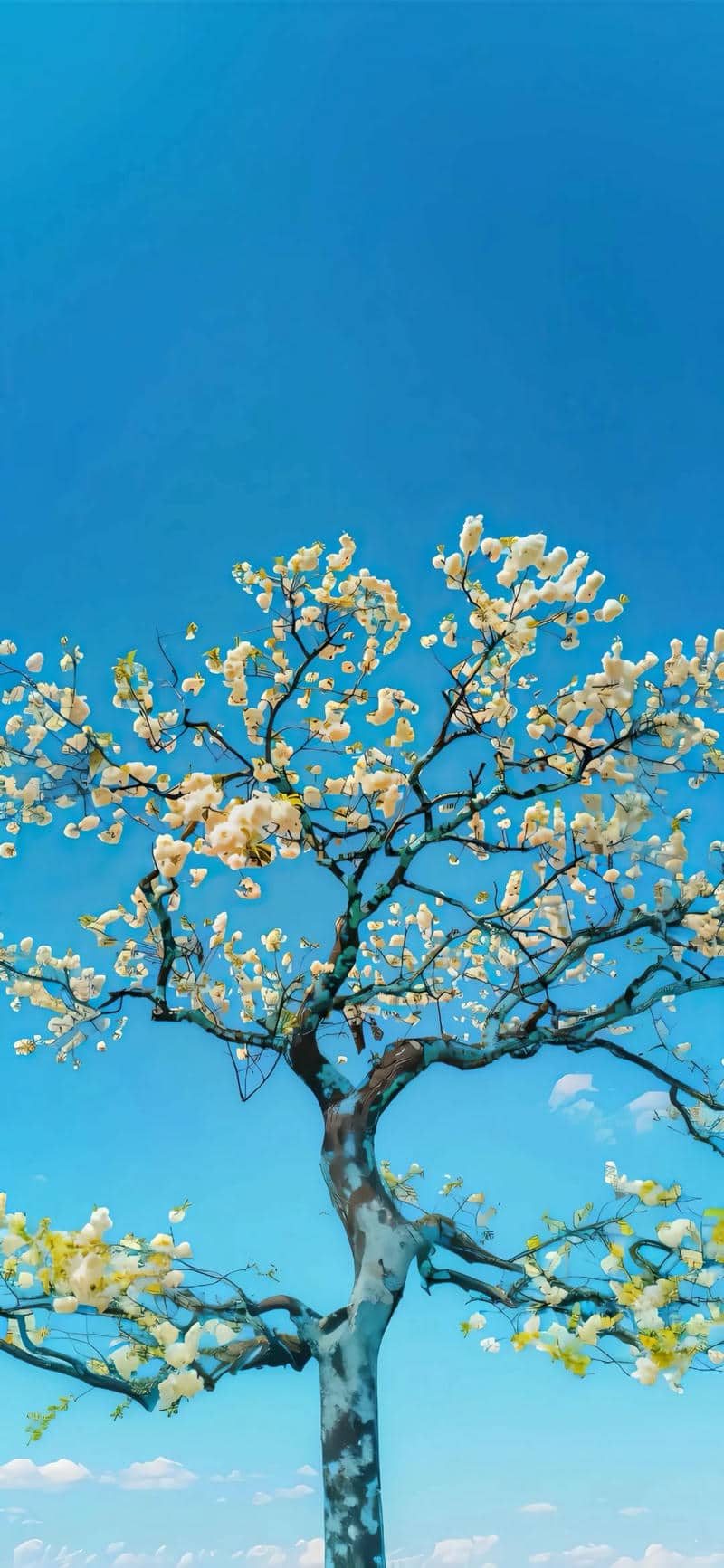 hình nền 4k cho điện thoại samsung