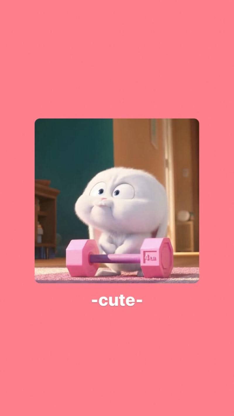 hình nền ảnh snowball cute