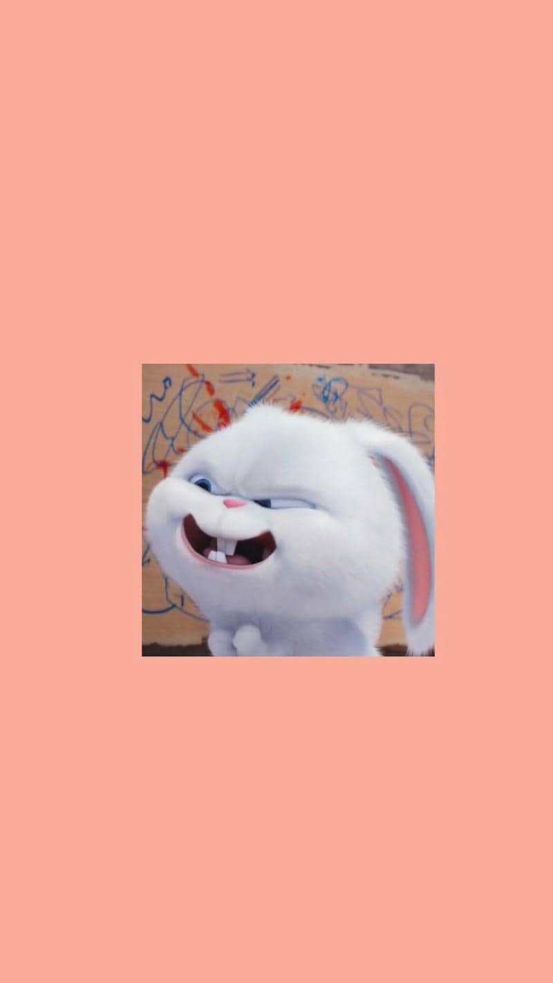 hình nền ảnh snowball đáng yêu