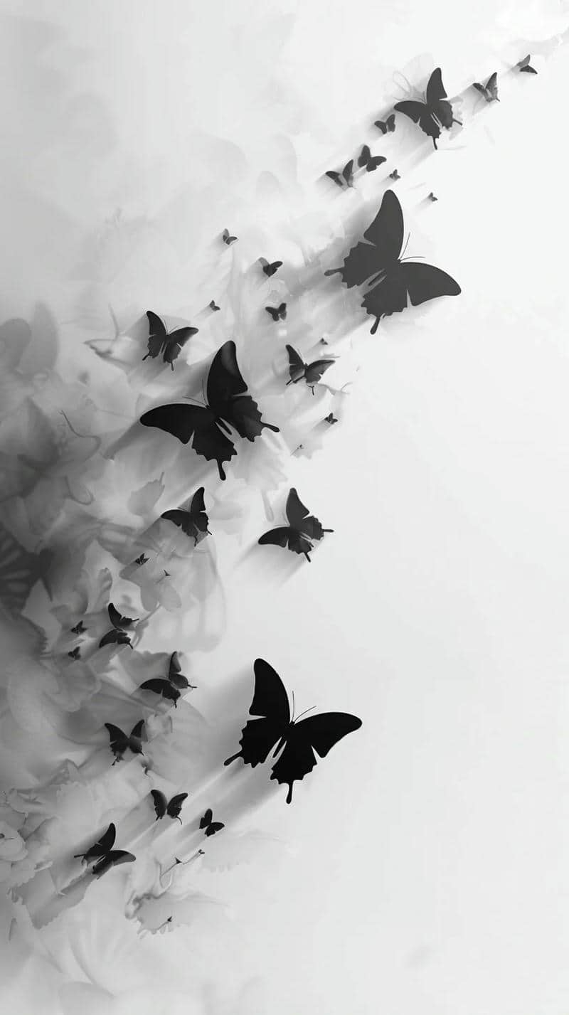 hình nền đen trắng đẹp