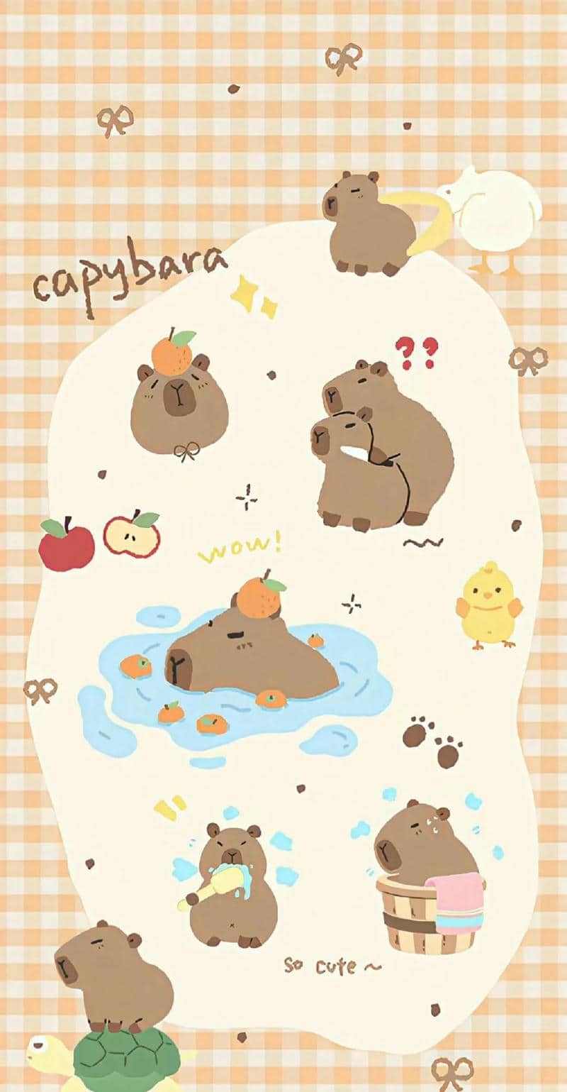 hình nền điện thoại capybara