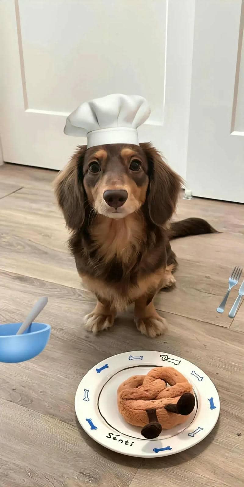 hình nền điện thoại con chó cute