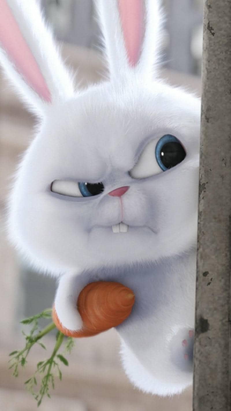 hình nền điện thoại snowball