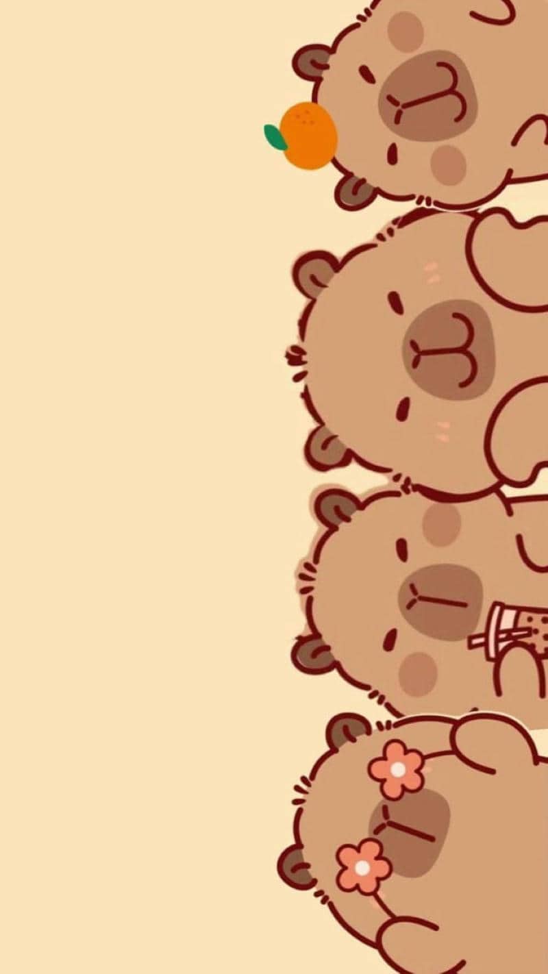 hình nền động vật