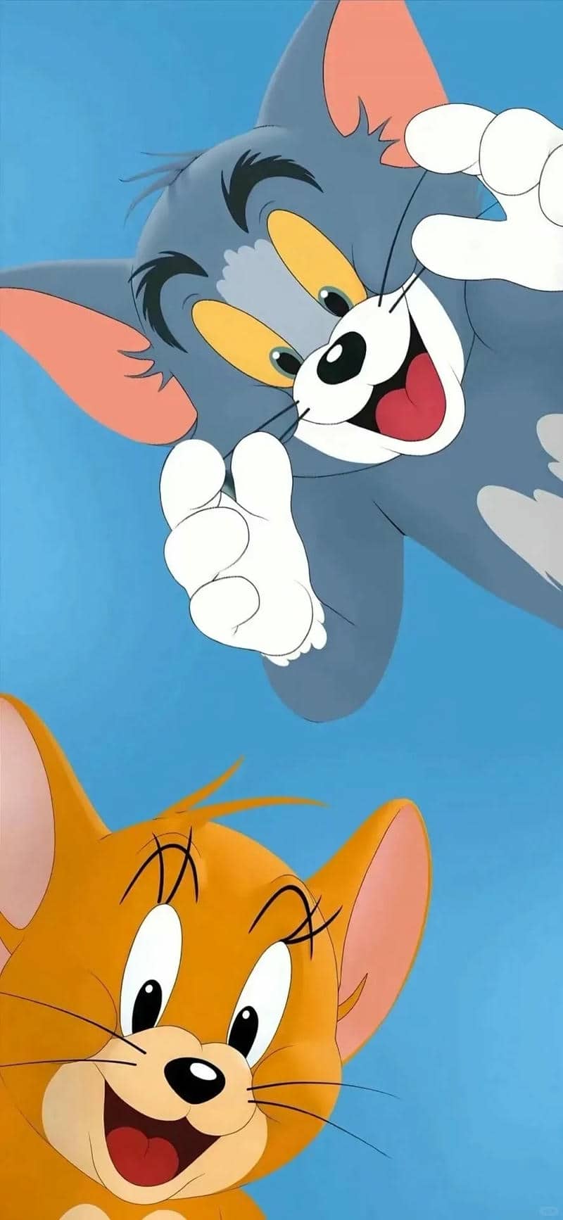 hình nền đt tom&jerry