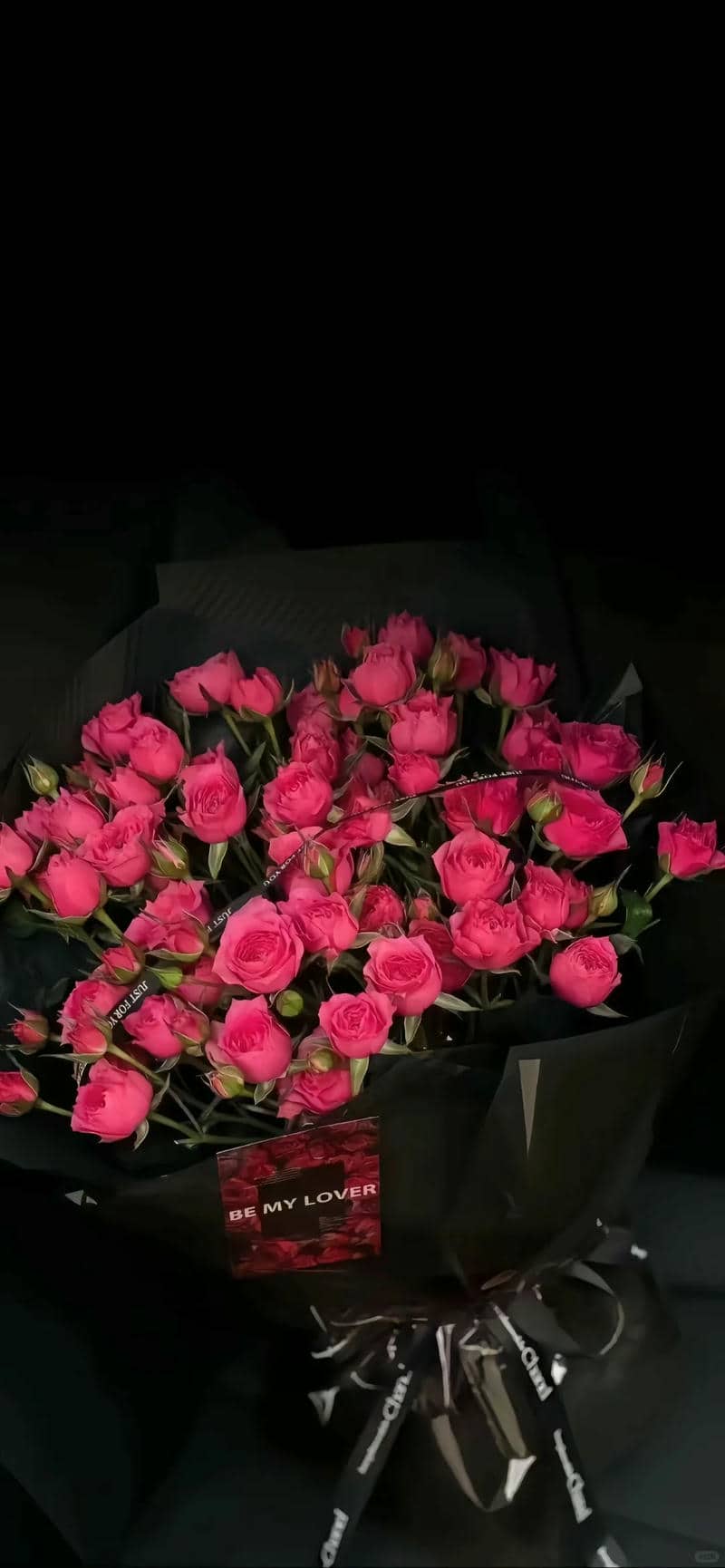 hình nền hoa màu hồng
