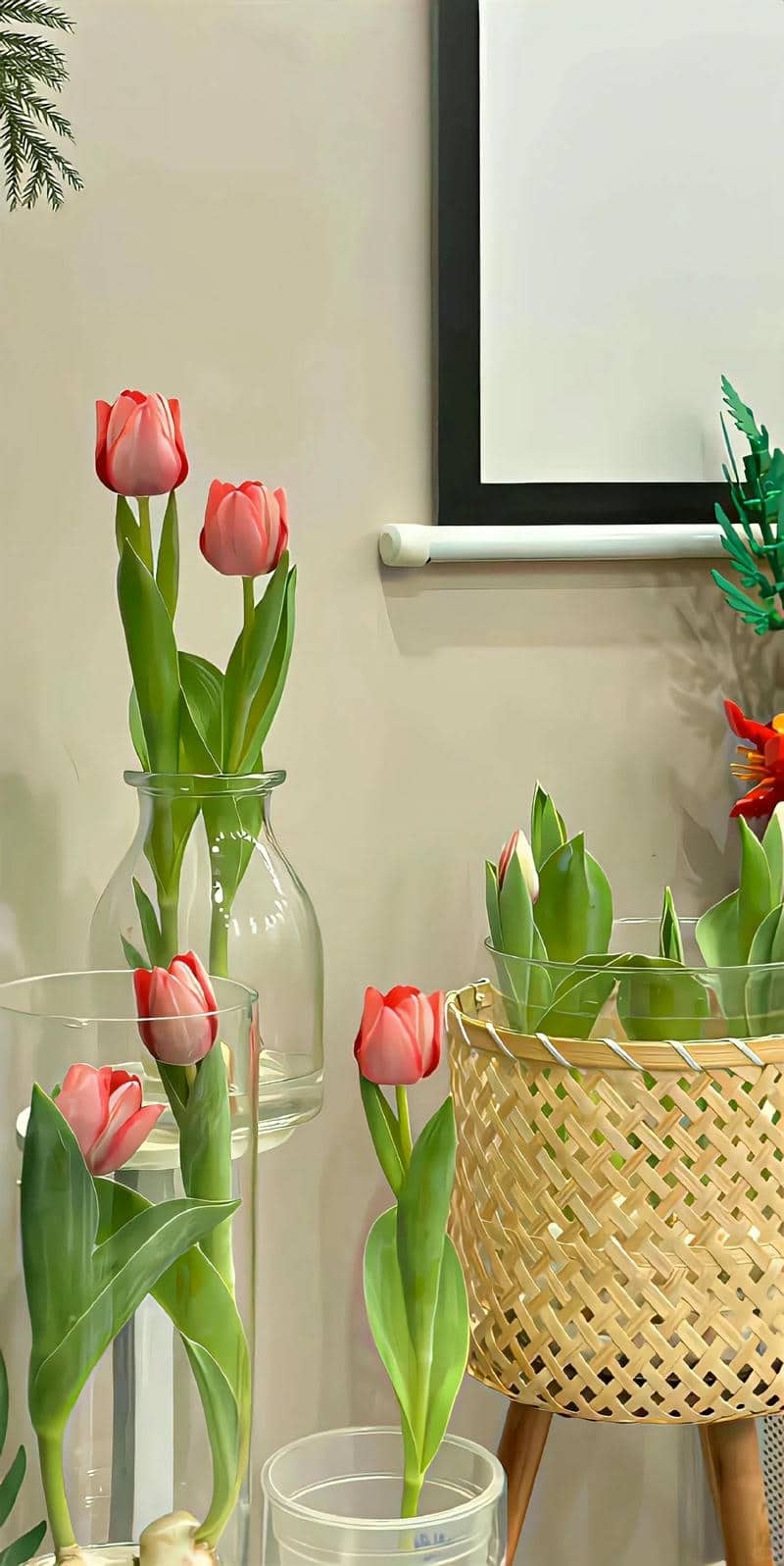 hình nền hoa tulip đẹp cho điện thoại