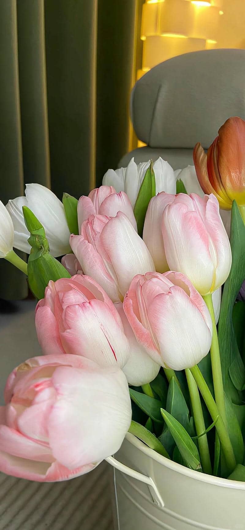 hình nền hoa tulip đẹp