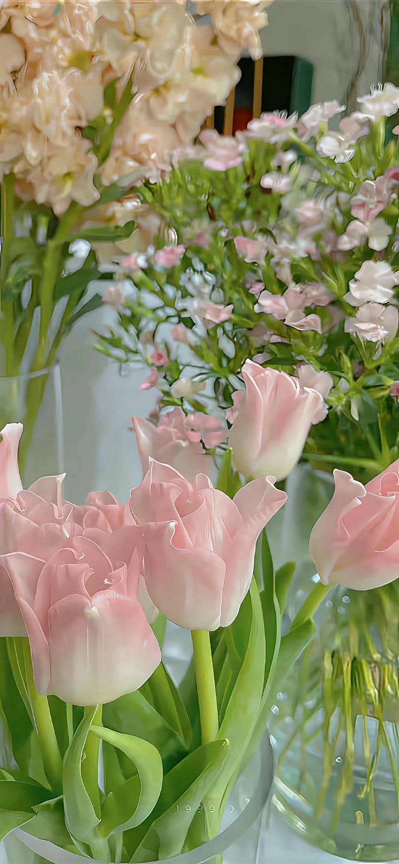 hình nền hoa tulip hồng