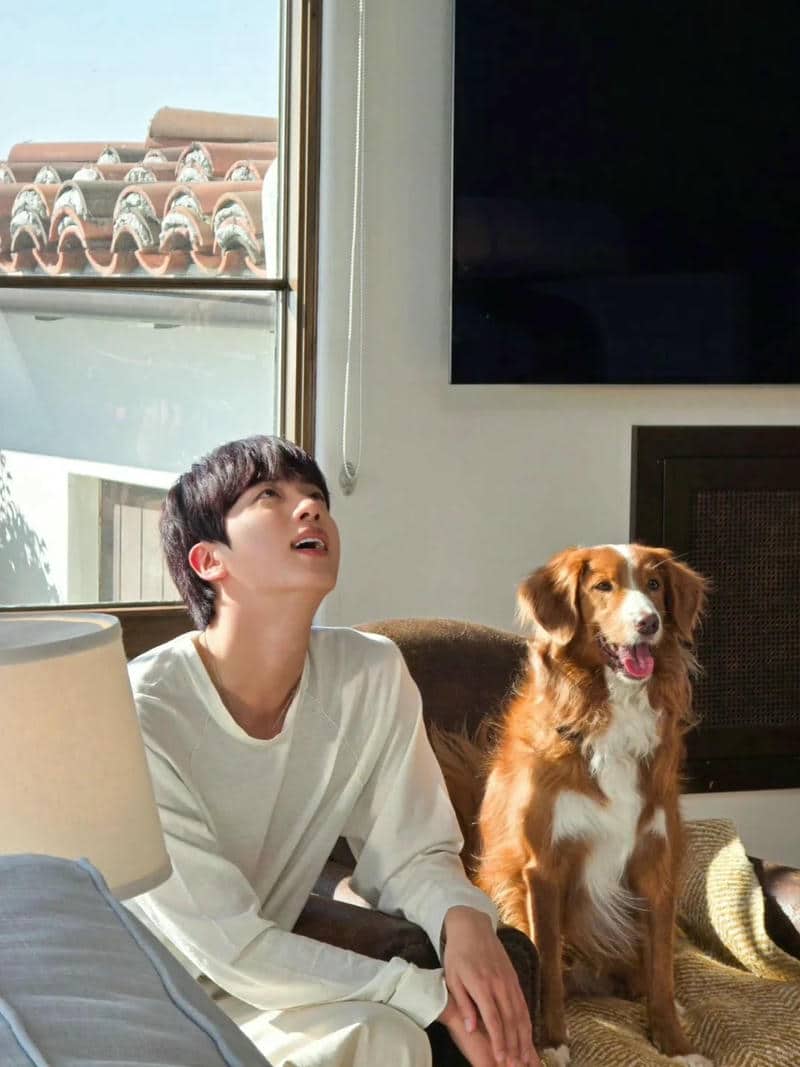 hình nền jin bts cute