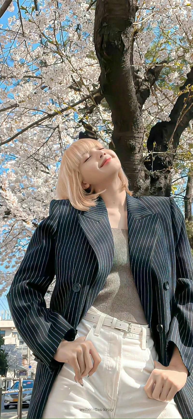 hình nền lisa blackpink