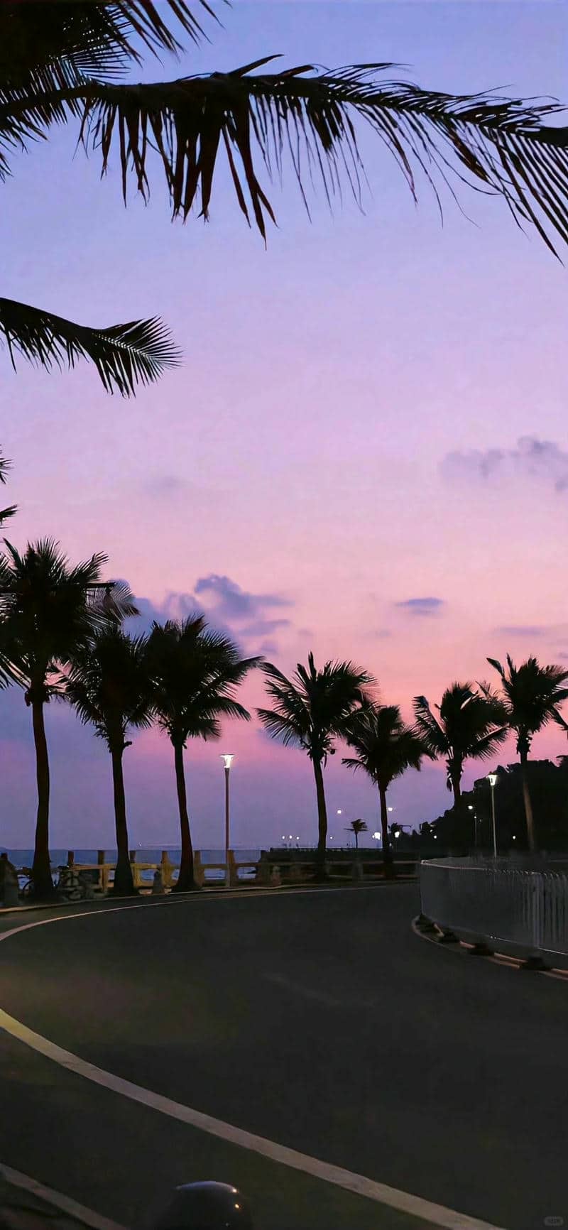 hình nền màu tím cho đt