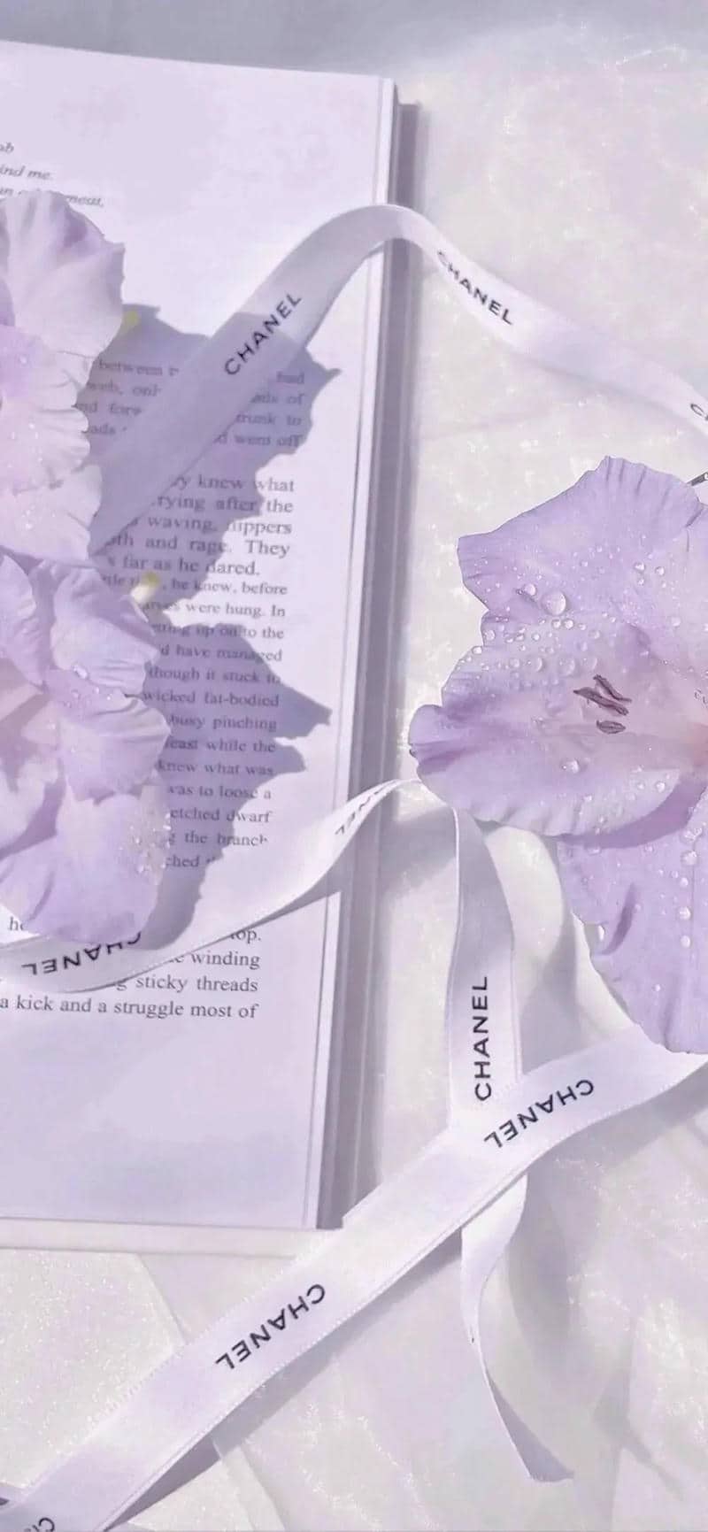 hình nền màu tím pastel