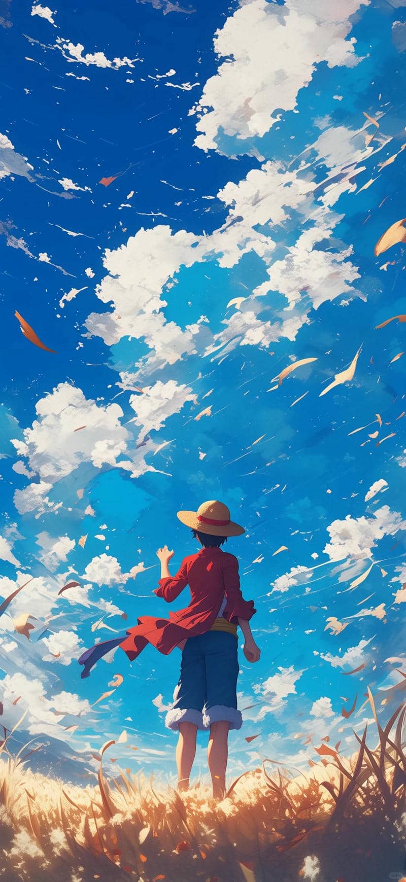 hình nền one piece ngầu