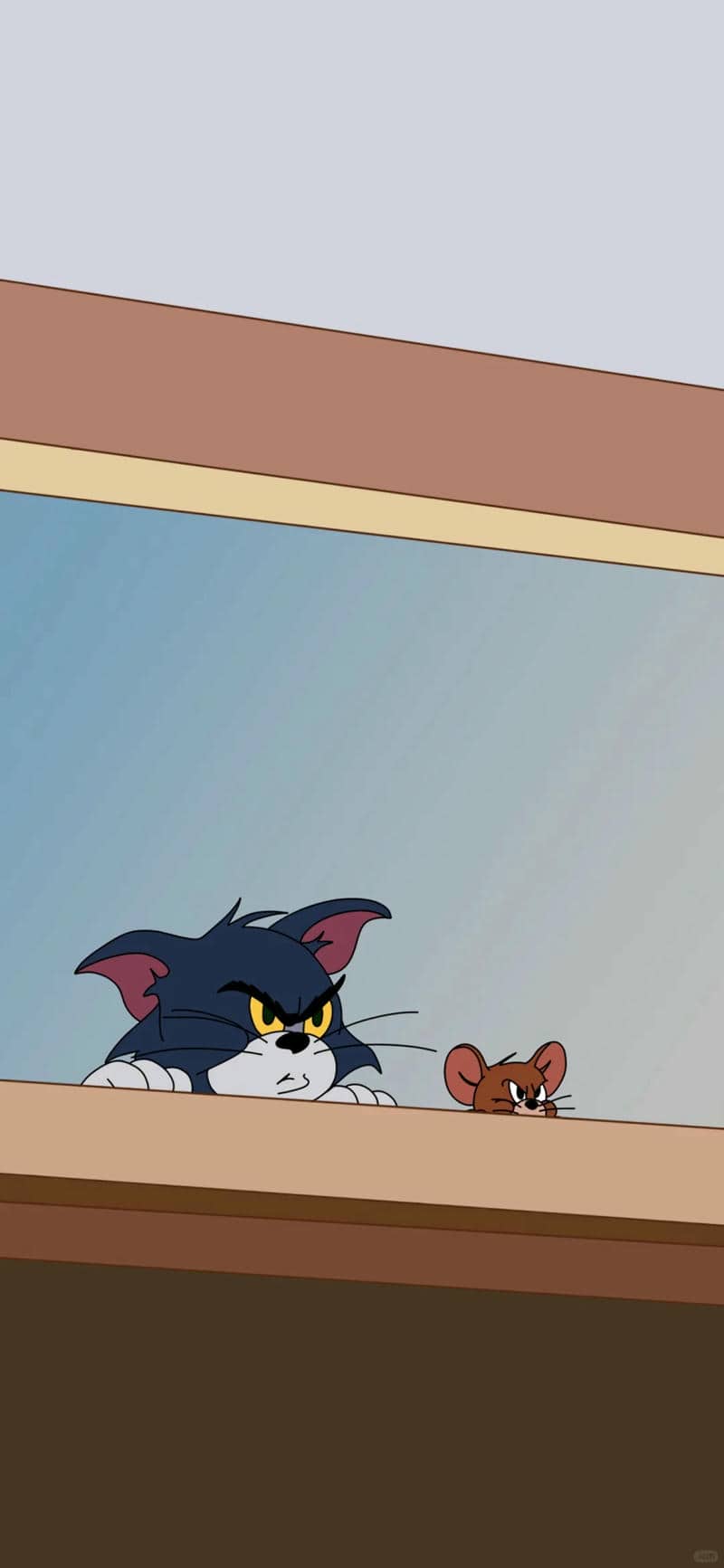 hình nền tom and jerry hài hước